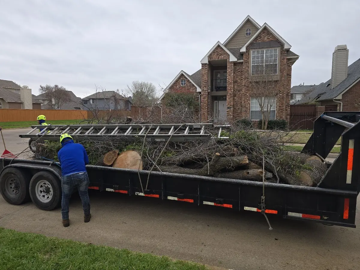 Expert Tree Pest Control with proper safety equipment in Amawalk